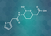 Vaborbactam drug molecule, illustration
