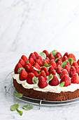 Strawberry and mint cake