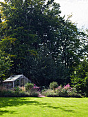 Greenhouse and herbaceous borders in front of tall trees