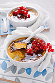 Joghurt-Crème Brûlée mit roten Johannisbeeren