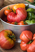Heritage tomato varieties in an aluminum sieve