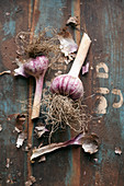 Two bulbs of garlic on a vintage wooden background
