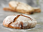 Russian rye bread