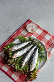 Prepared savory mackerel served on salad with pieces of sea salt on plate