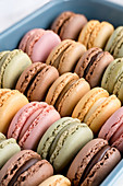 Colorful macaroons displayed inside blue container