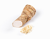 A piece of horseradish root and grated horseradish on a white background