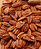Pecans (filling the picture)