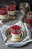 White chocolate panna cotta with redcurrant sauce