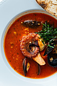 Red soup of octopus and mussels served with greenery and roasted bread