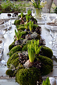a Set table with a garland of moss with hyacinths, cones, and ragwort in the middle of the table