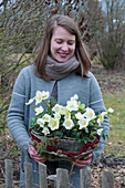 Frau mit Christrosen in Korb-Jardiniere