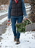 Frau bringt Korb mit frisch geschnittenen Koniferen-Zweigen, Hund Zula