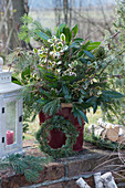 Winter bouquet with pine, fir, cherry laurel, skimmia and holly in a bucket on the garden wall