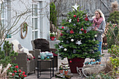 Frau schmückt Nordmanntanne als Weihnachtsbaum mit Sternen, Zapfen und Kugeln