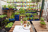 Small restaurant filled with crates of potted herbs