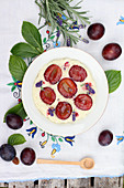 Rice pudding with plums and lavender flowers
