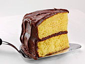 Yellow cake with chocolate frosting