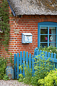 Blauer Zaun mit Tor am Backsteinhaus mit Reetdach