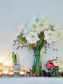 Festive arrangement of vase of white amaryllis and tealights on ledge