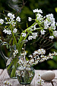 Posies of blackthorn blossom and Star-of-Bethlehem