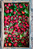 Fresh strawberries in a wooden box