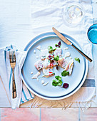 Ceviche vom Kingfish mit Koriandergrün