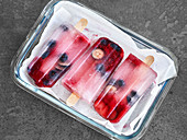 Homemade ice lollies being stored next to each other in a container