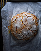A yeast dough cake dusted with icing sugar