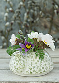 Posy of primulas and pasque flowers in teapot