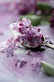 Sugar infused with lilac flowers