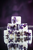 Lilac blossom ice cubes