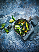 Mussels in a bowl against a blue background