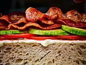 Sandwich mit Tomate, Avocado und Bacon (Querschnitt, Nahaufnahme)