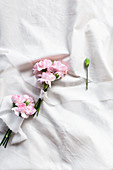 Posies of pink carnations tied with ribbons