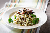 Wild mushroom risotto topped by mix of forest ceps