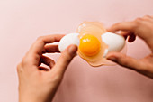 Hands breaking fresh white raw egg on pink background