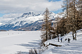 Blick von Maloja auf den Silsersee in Richtung Sils, Engadin, Schweiz