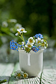 Wild strawberry flowers and forget-me-nots in mug