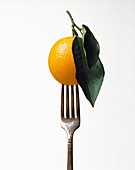 Orange on a fork