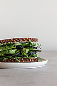 Healthy sandwich with green vegetables and herbs