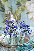 Blaue Schmucklilien in Gläschen auf Silbertablett