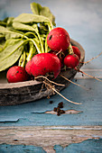 Freshly picked radishes in a wooden bowl