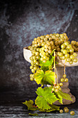 Grüne Weintrauben mit Blättern in Schale vor grauem Hintergrund