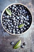 Fresh wild blueberries