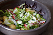 Sommersalat mit Frühkartoffeln, Radieschen, Saubohnen, Zucchini und roten Zwiebeln