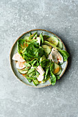 Gemischter grüner Salat mit Hähnchenbrust