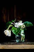 Glass vase of white roses