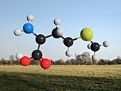 Methionine molecule, illustration.