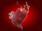 Bell pepper and water splash, illustration