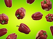 Bell peppers, illustration